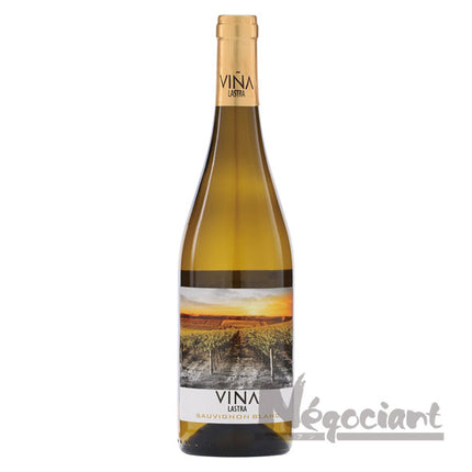 ビニャ ラストラ ソーヴィニヨンブラン