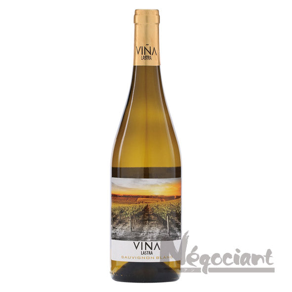 ビニャ ラストラ ソーヴィニヨンブラン