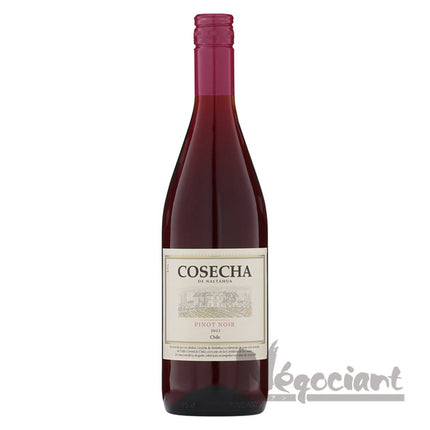 コセチャ ピノノワール