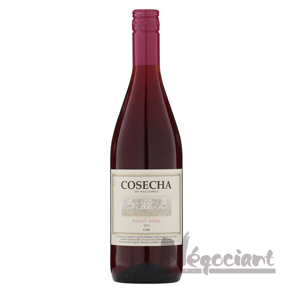 コセチャ ピノノワール