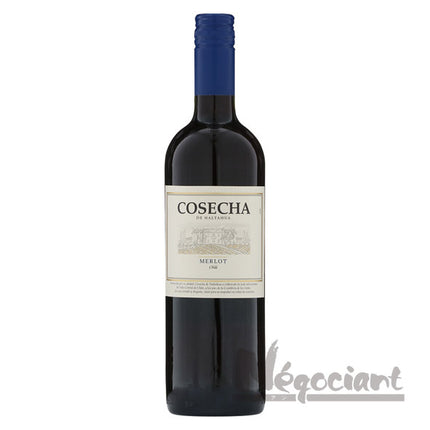 コセチャ メルロー