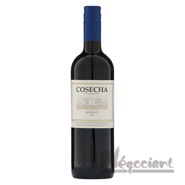 コセチャ メルロー