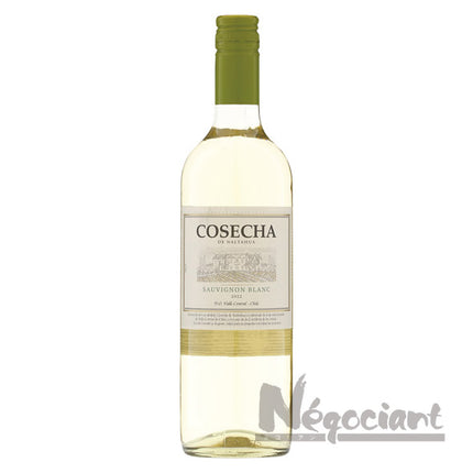 コセチャ ソーヴィニヨンブラン