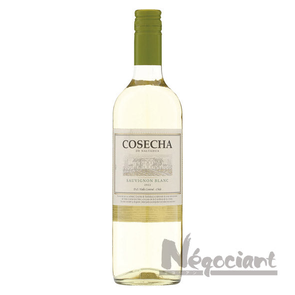 コセチャ ソーヴィニヨンブラン