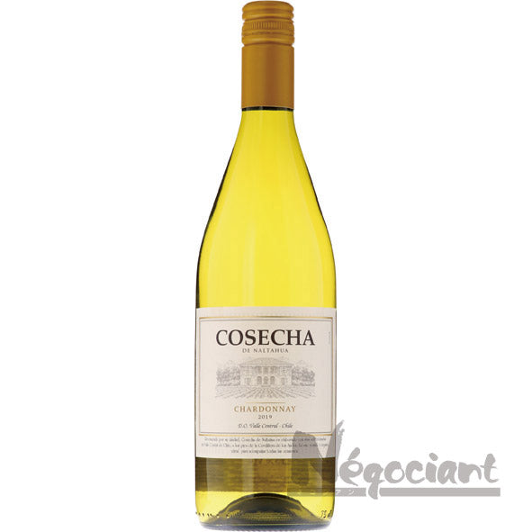 コセチャ シャルドネ