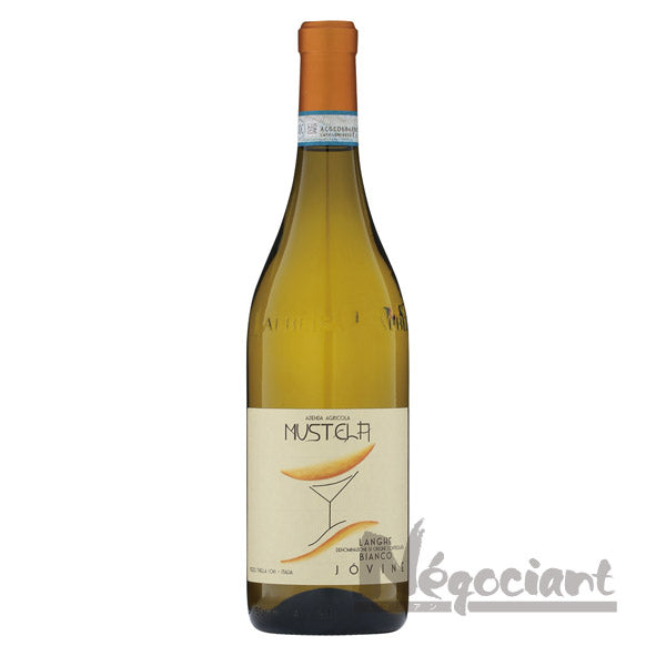 アジィエンダ アグリコーラ ムステラ ランゲ ビアンコ ジョヴィネ