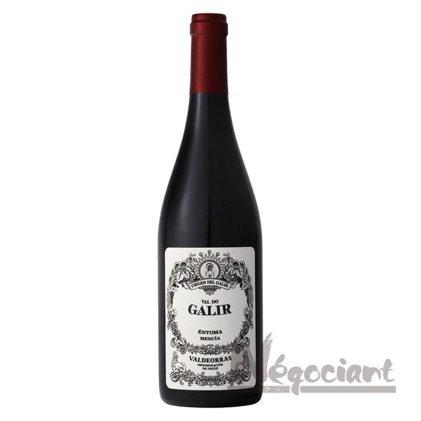 ビルヘン デル ガリル バル ド ガリル メンシア