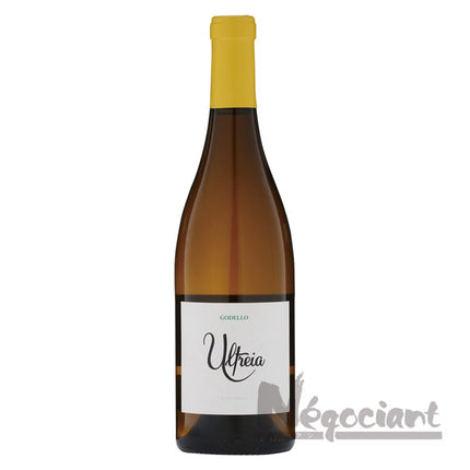 ラウル ペレス ウルトレイア ゴデーリョ