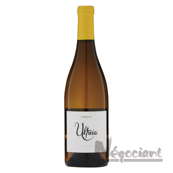 ラウル ペレス ウルトレイア ゴデーリョ