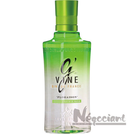 ジーヴァイン フロレゾン