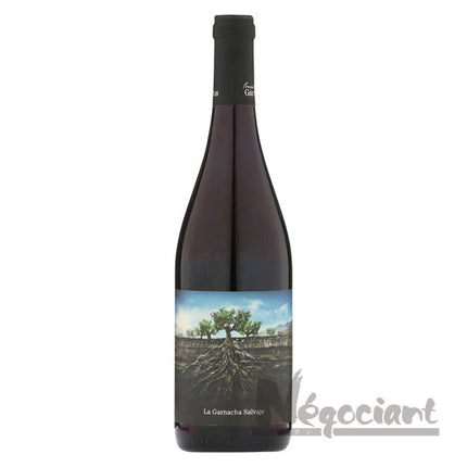 サルバヘ デ モンカヨ