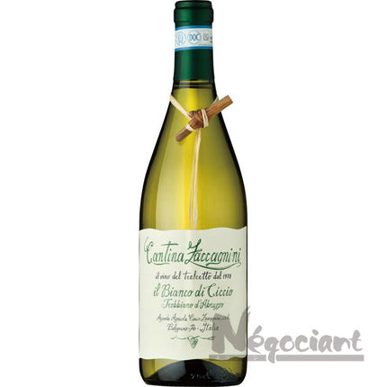 イル ビアンコ ディ チッチオ