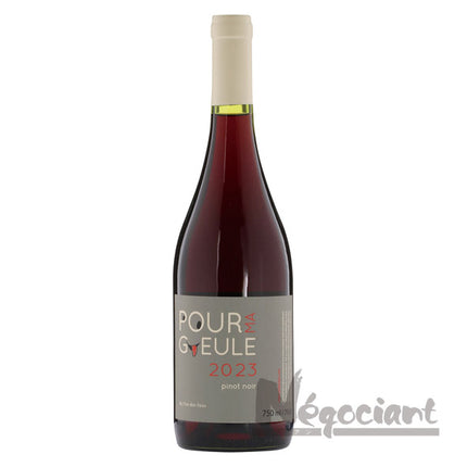 プール マ ギュール ピノノワール