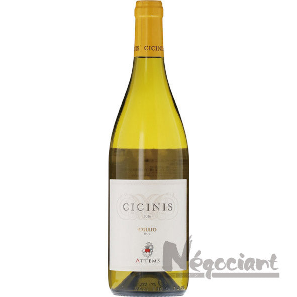 アテムス チチニス