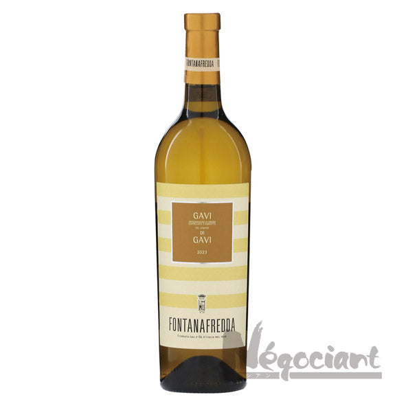 フォンタナフレッダガヴィディガヴィ