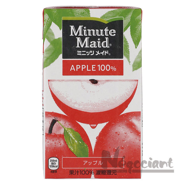 ミニッツメイド アップル100% 1Lパック(6本入り)
