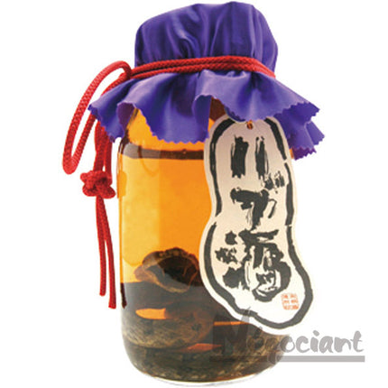 琉球の酒 ハブ入りハブ酒 35度 1800ml